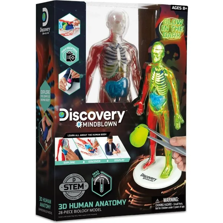 3D Human Anatomy 28-Piece Biology Model