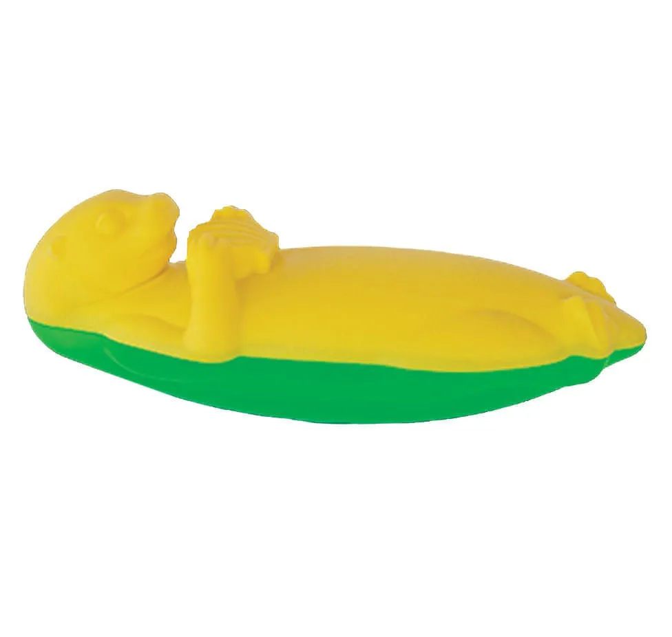 AquaFOAM Floating Dog Toys