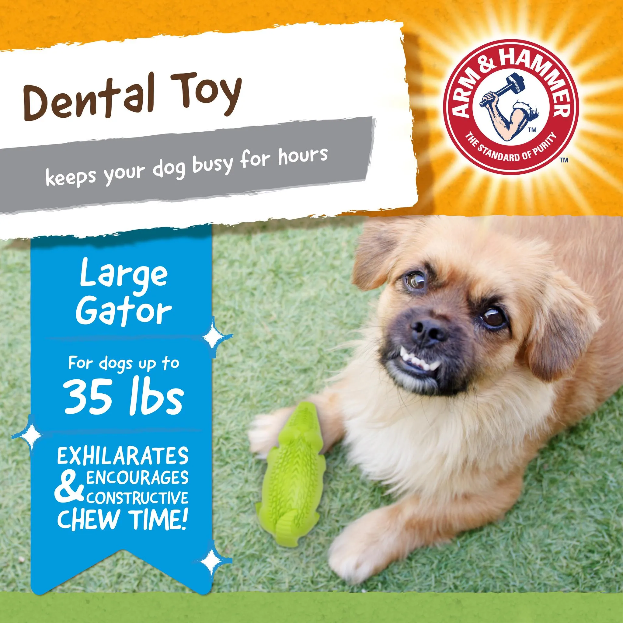 Arm and Hammer Super Treadz Gator Dental Dog Toy