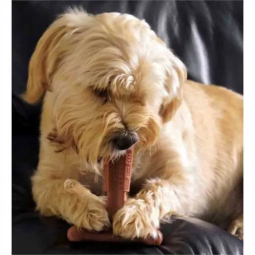 Bamboodles - T Bone Bamboo & Nylon Chew Toy - Beef