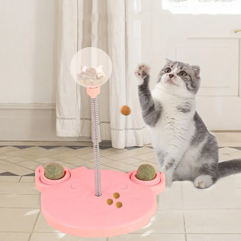 Cat and Dog Interactive Treat Leaking Ball Toy