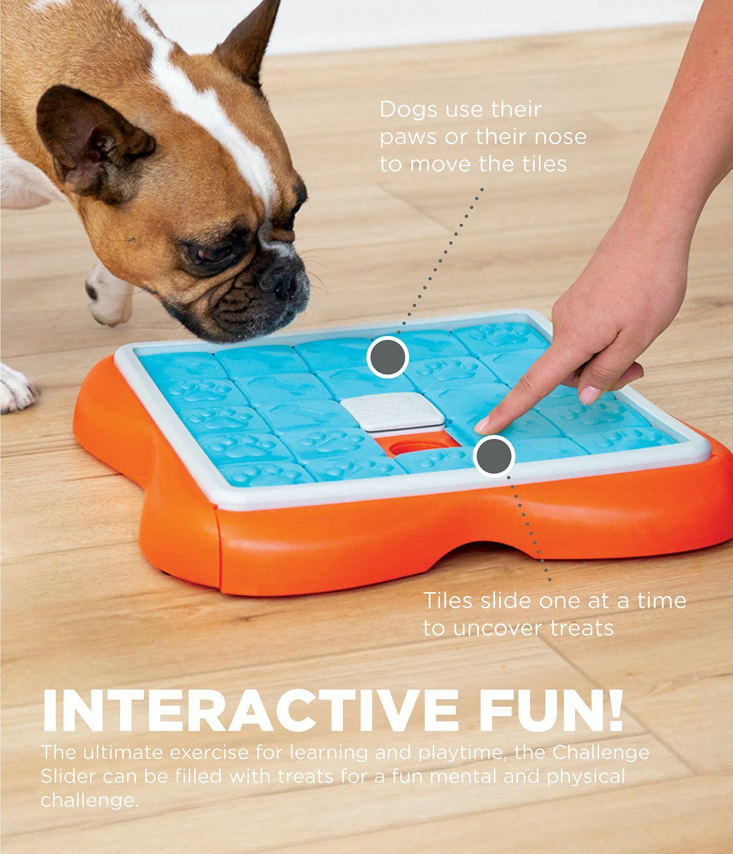 Challenge Slider Interactive Treat Puzzle Game Dog Toy