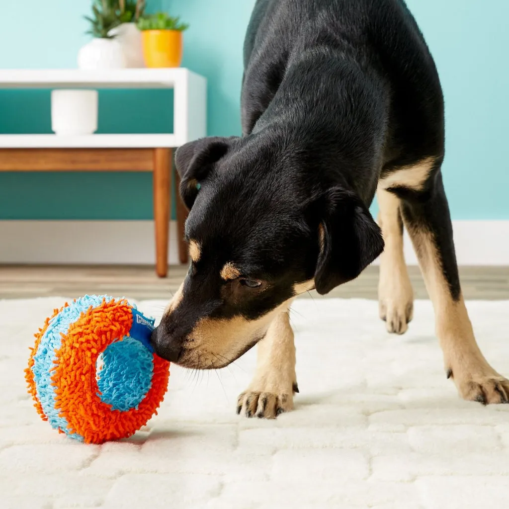 Chuckit! Indoor Roller Toy For Dogs