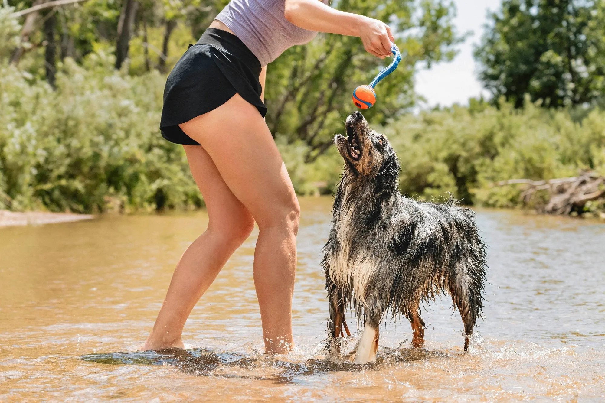 Chuckit! Ultra Duo Tug Dog Toy