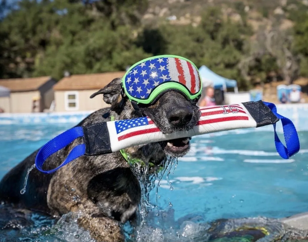 Dock Diving Bumper Tug - Competition Series Weighted - U.S. Flag