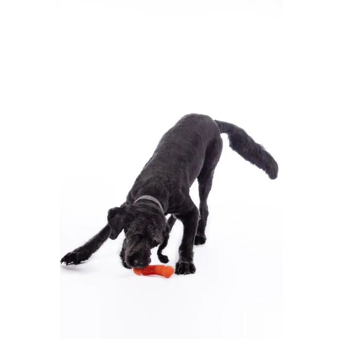 Dog Toy Buddy Bone III-natural Rubber