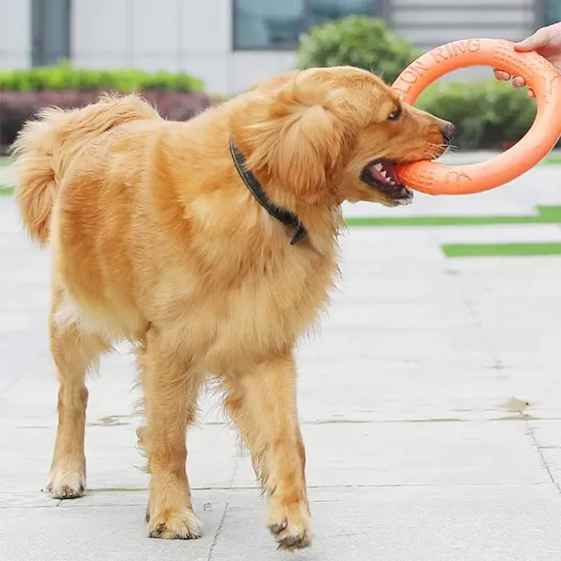 Durable Dog Chew Ring – Lightweight Fetch Toy for Active Play