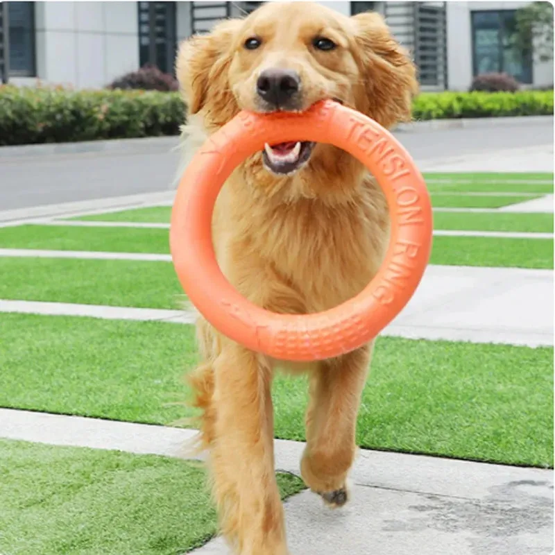 Durable Dog Chew Ring – Lightweight Fetch Toy for Active Play