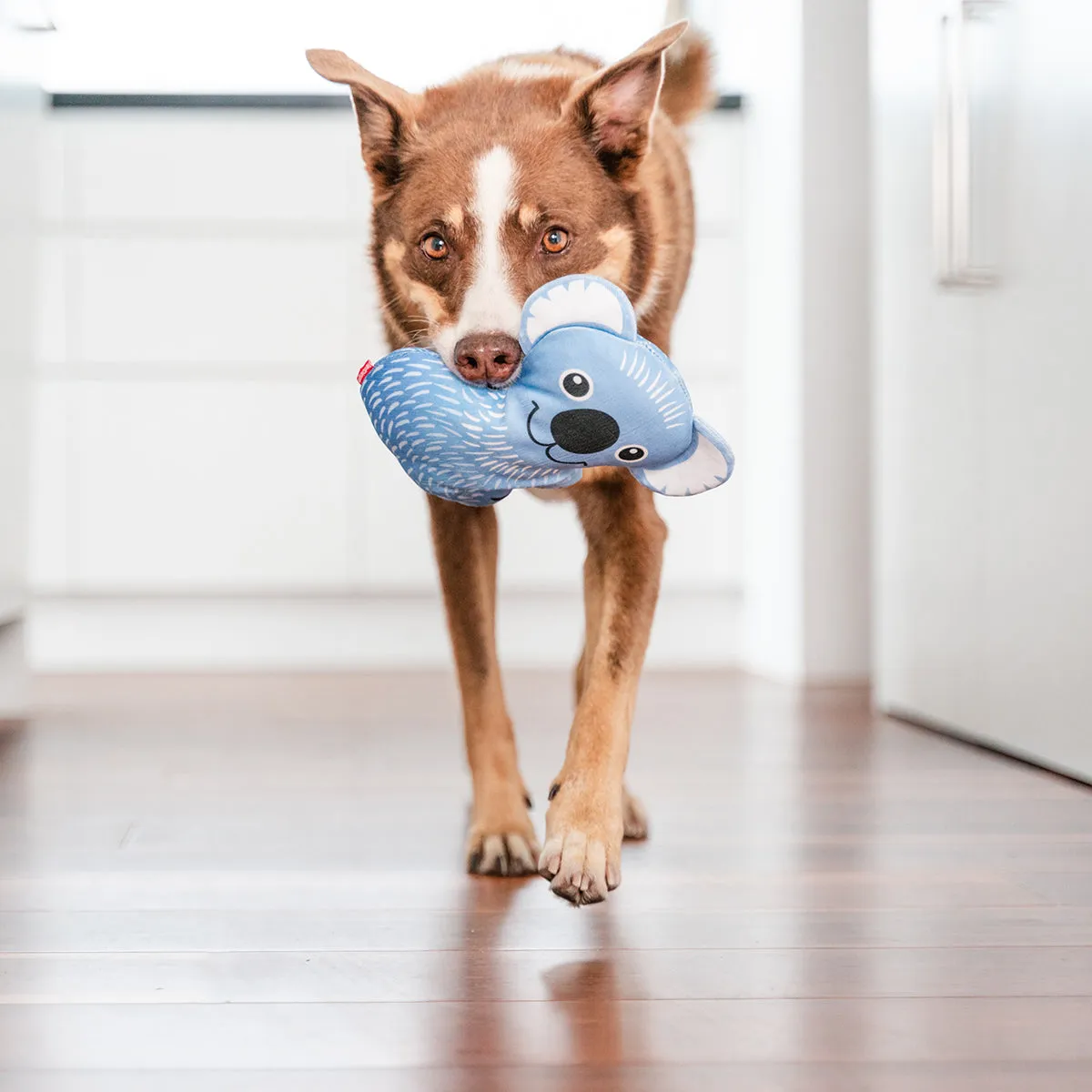 Durables Kim The Koala Dog Toy