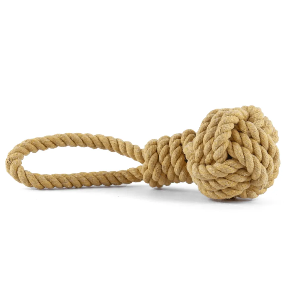 Fofos Vegi Bites Carrot Squeaky and Trixie Be Nordic Rope with Woven in Ball Toy for Dogs Combo