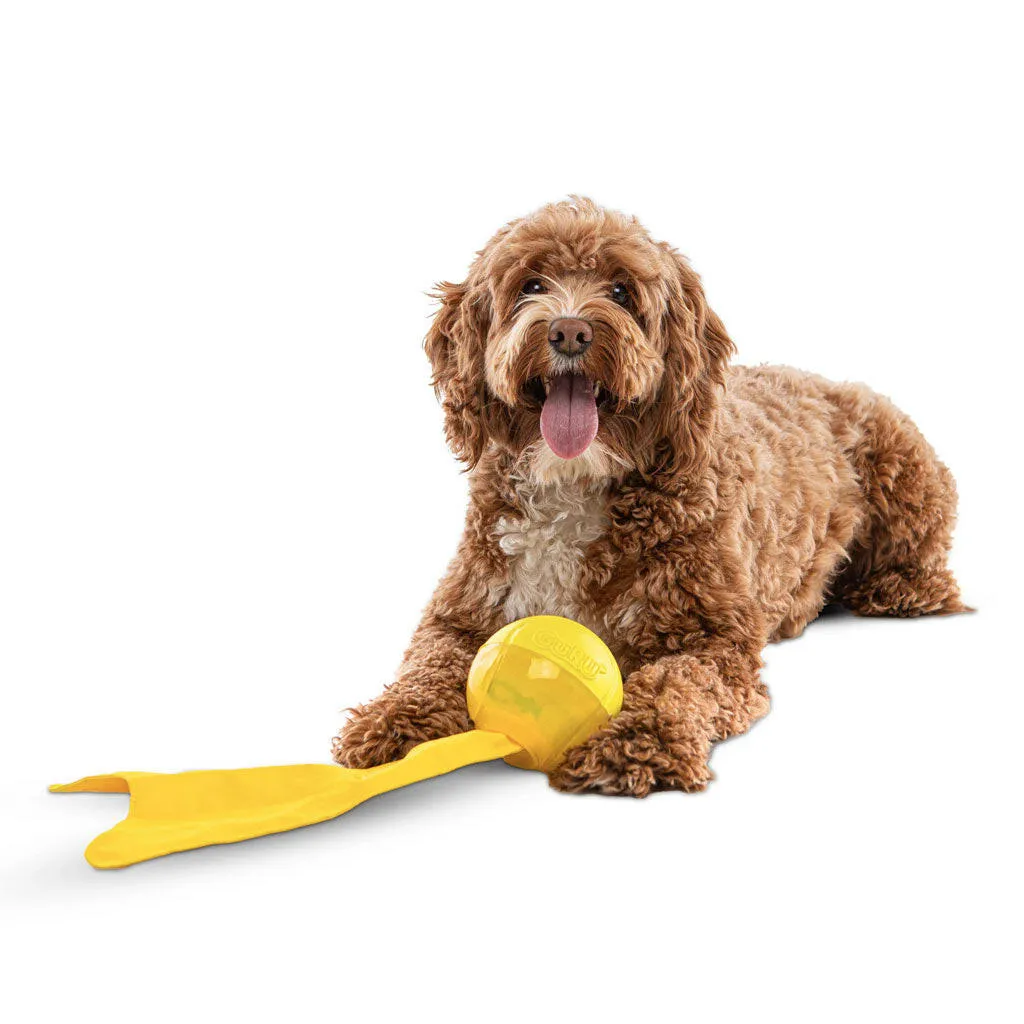 GURU Bonanza Ball Dog Toy, Medium