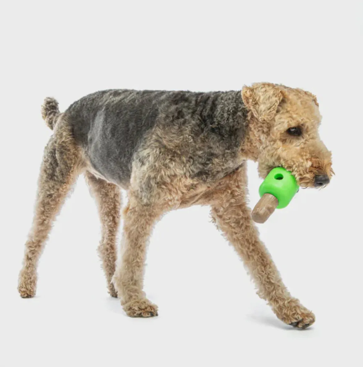 Guru Spin And Treat Stick Dog Toy