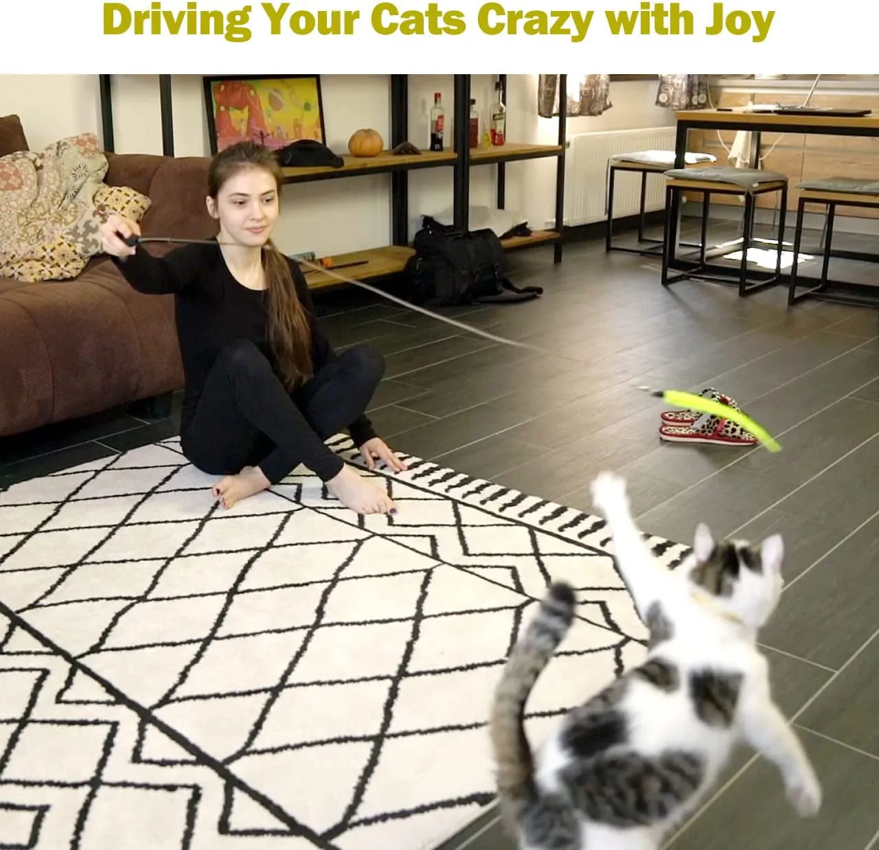 Interactive Cat Toys