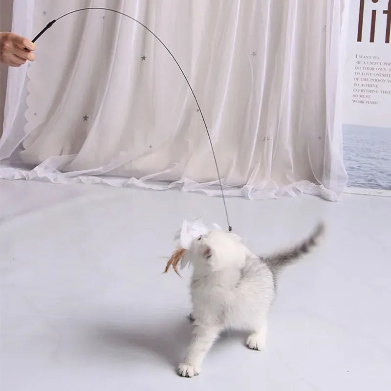 Interactive Feather Teaser Toy