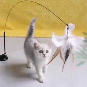 Interactive Feather Teaser Toy