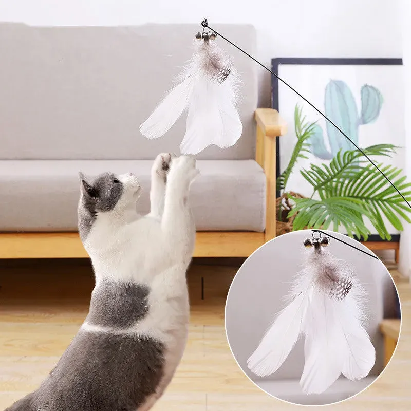 Interactive Feather Teaser Toy