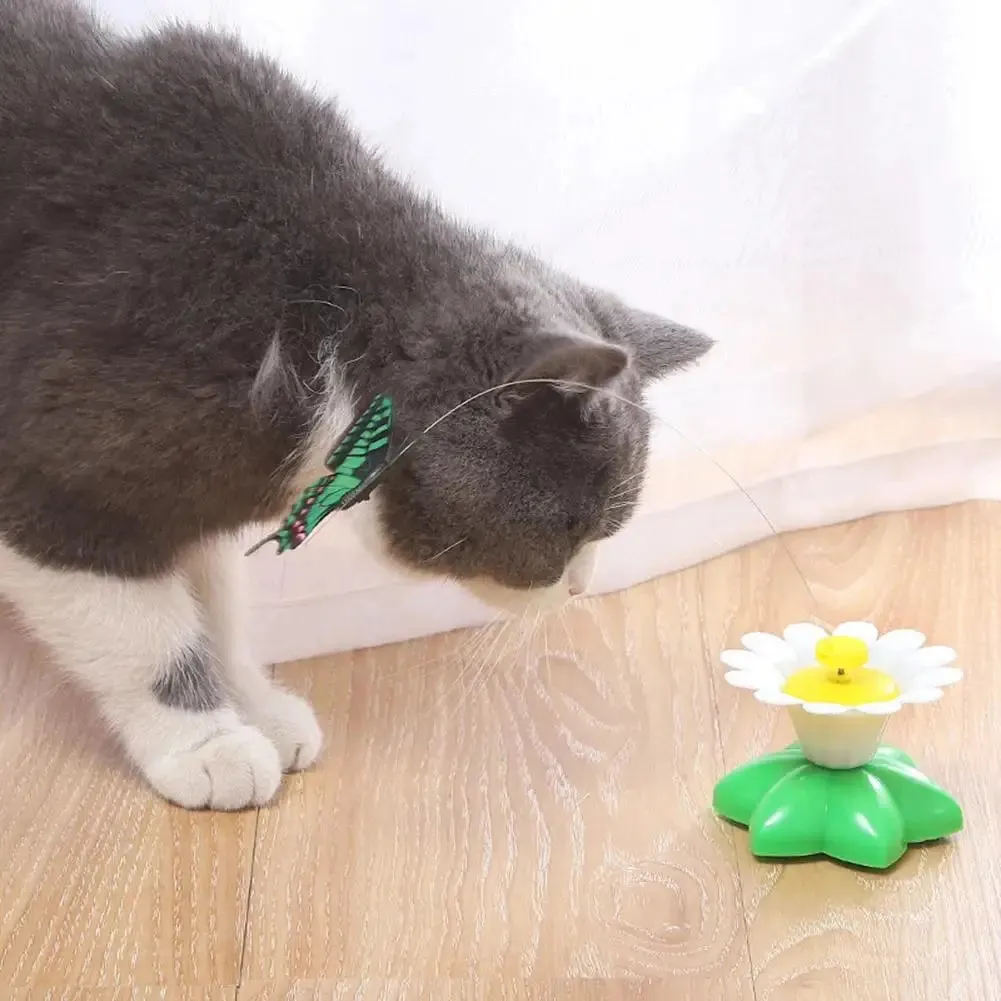 Interactive Rotating Cat Toy