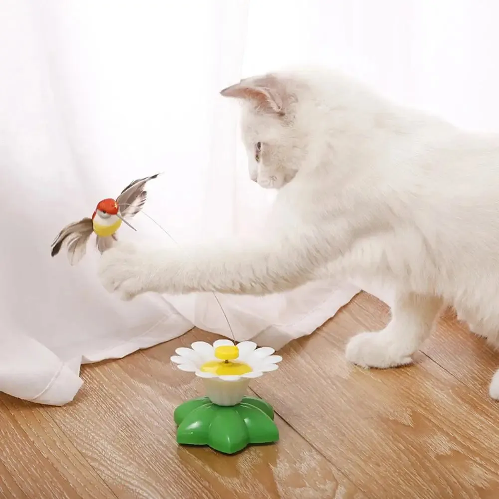 Interactive Rotating Cat Toy