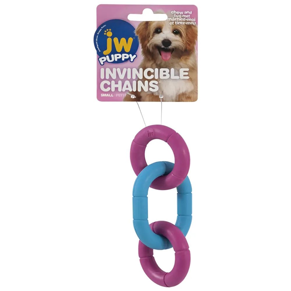 JW Invincible Chains Toy for Dogs (Blue/Pink)