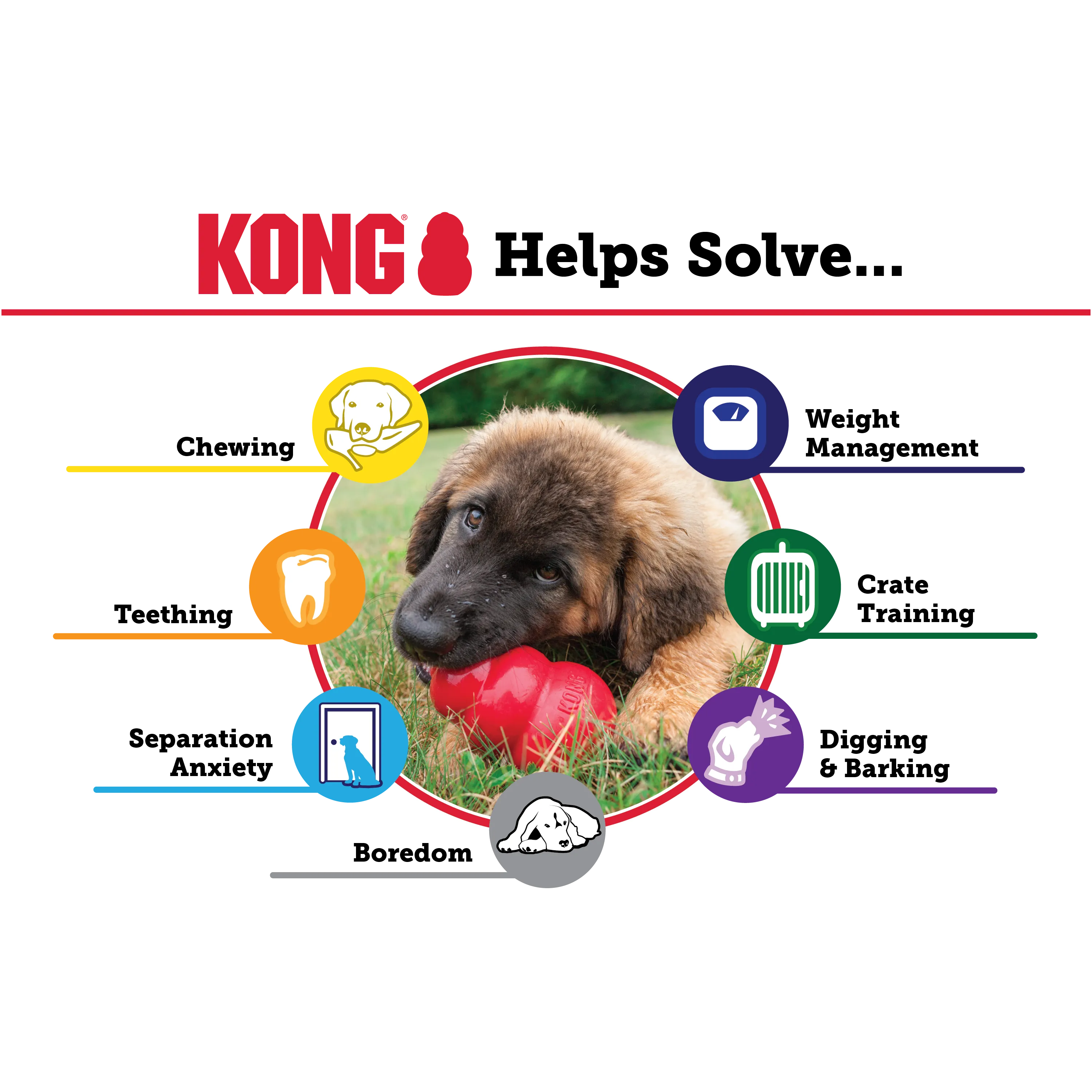 Kong - Classic Dog Toy