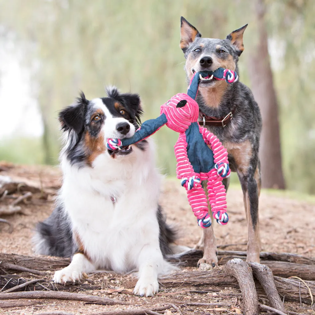 KONG Floppy Knots Fox Toy For Dogs