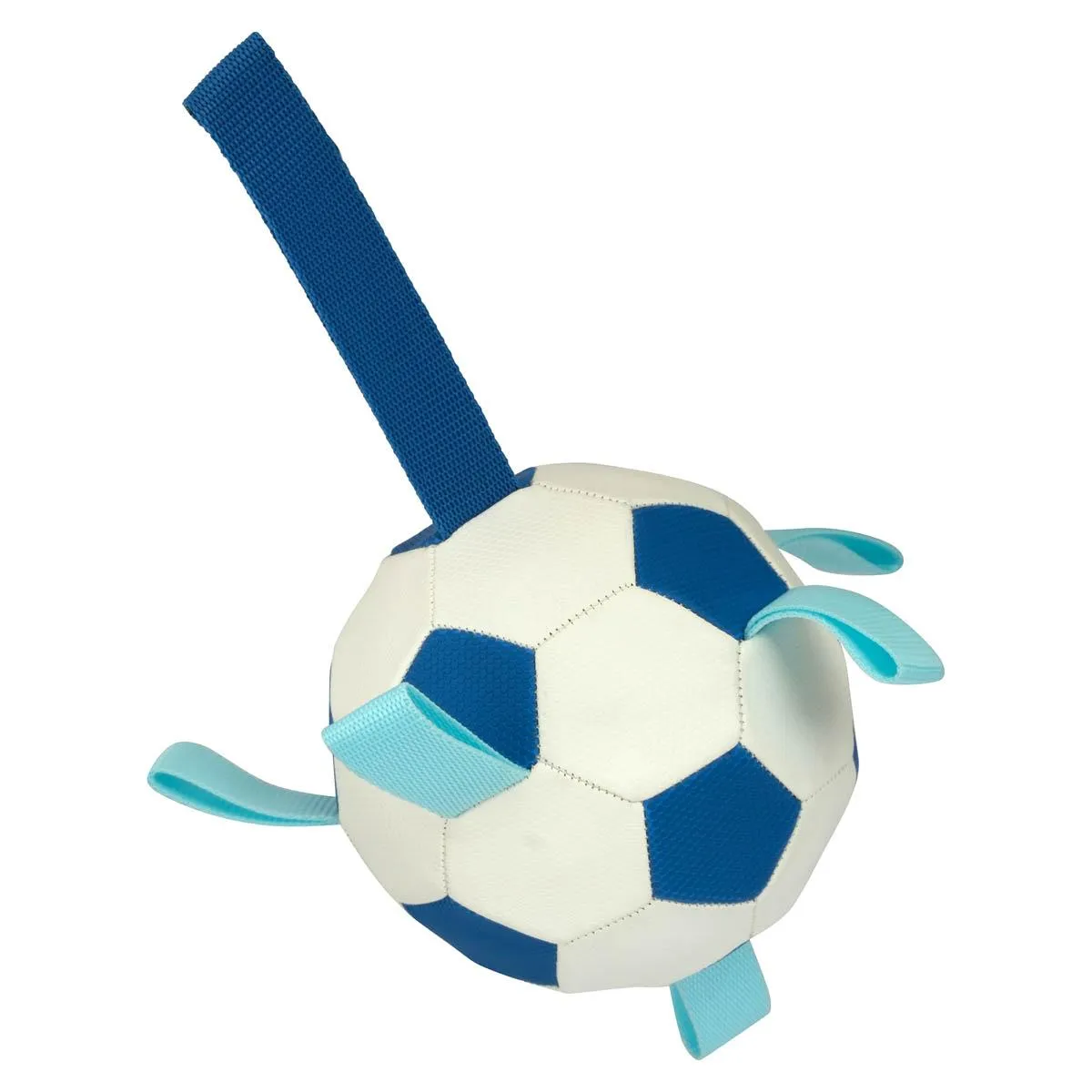 Lexi & Me Soccer Ball with Tags Dog Toy Blue/White