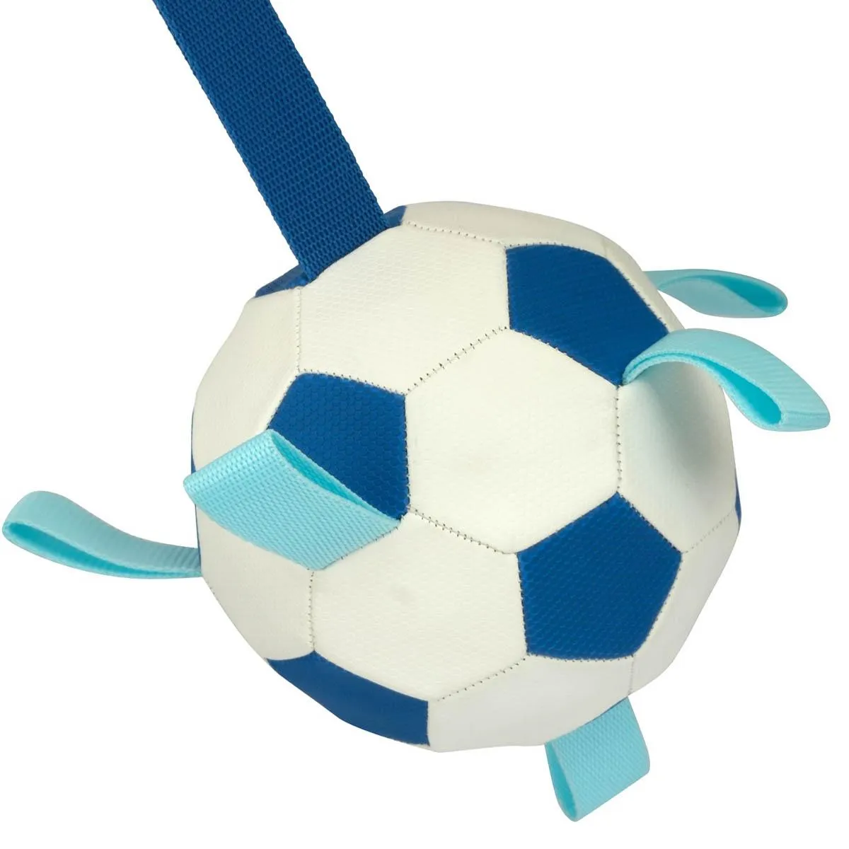 Lexi & Me Soccer Ball with Tags Dog Toy Blue/White