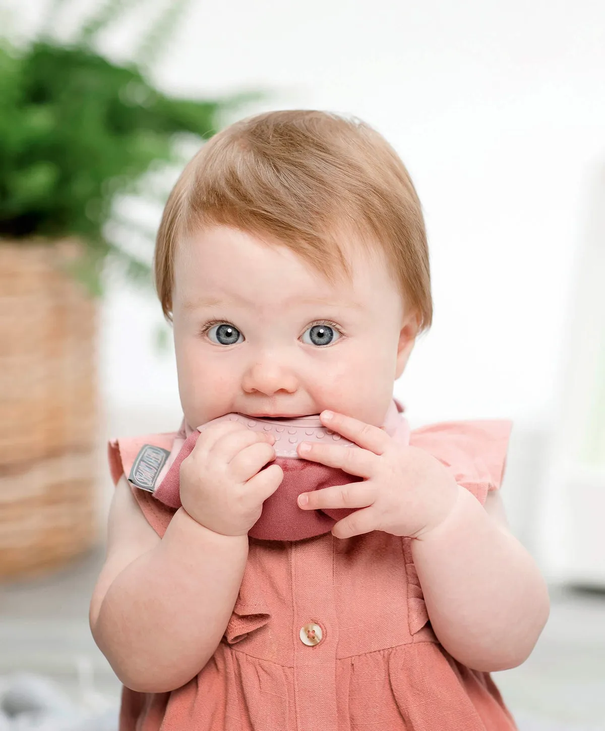 Neckerchew Teething Dribble Bib - Rainbow Rose