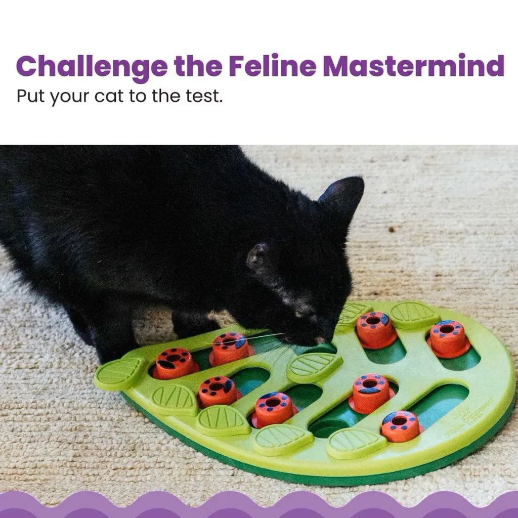 Outward Hound Nina Ottosson Buggin' Out Puzzle & Play Interactive Treat Puzzle For Cats