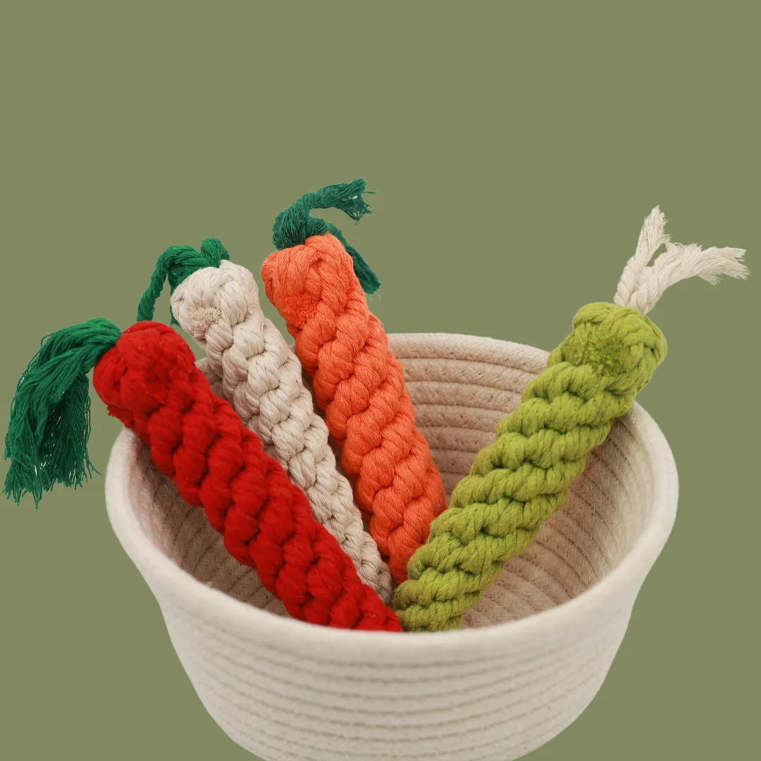 Palatable Carrot Rope Toys