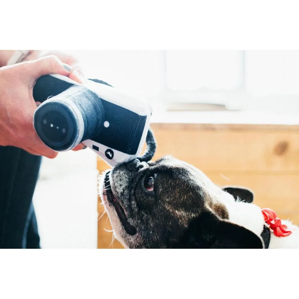 P.L.A.Y - Globetrotter - Camera Dog Toy