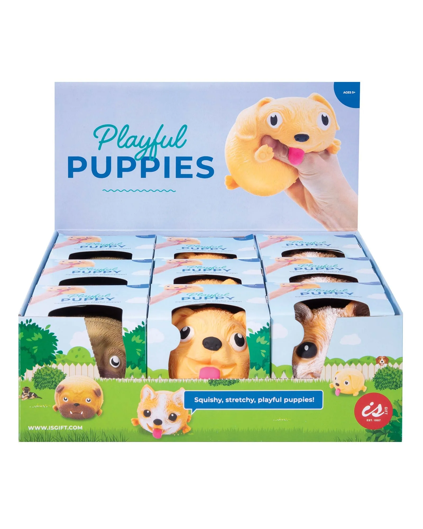 Playful Puppies - Assorted