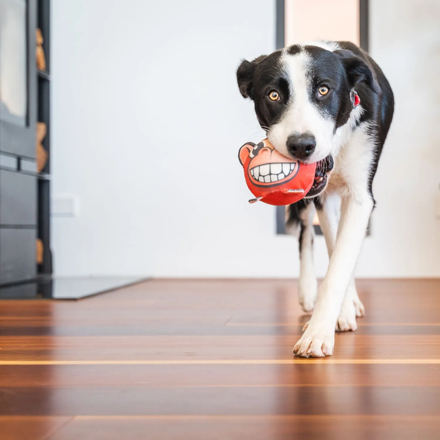 Red Dingo Leo the Lion Durables Ball