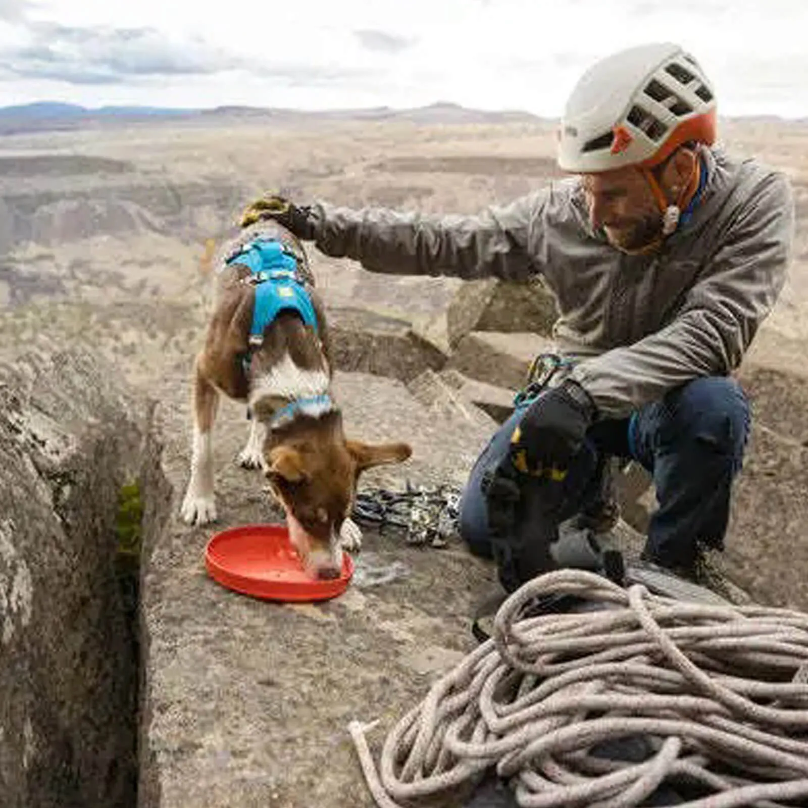 Ruffwear Camp Flyer