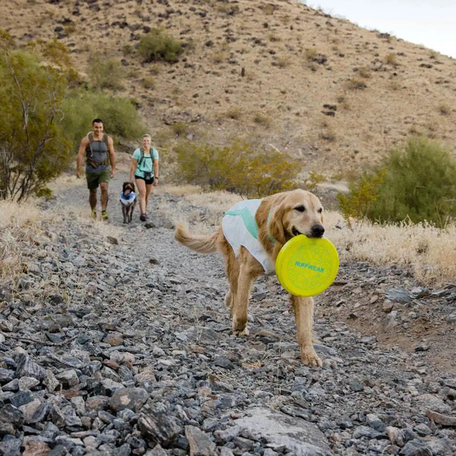 Ruffwear Camp Flyer