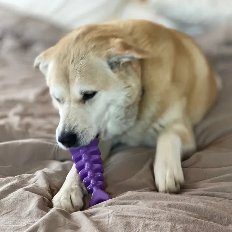 SodaPup Purple Fish Bone Ultra Durable Nylon Chew Toy