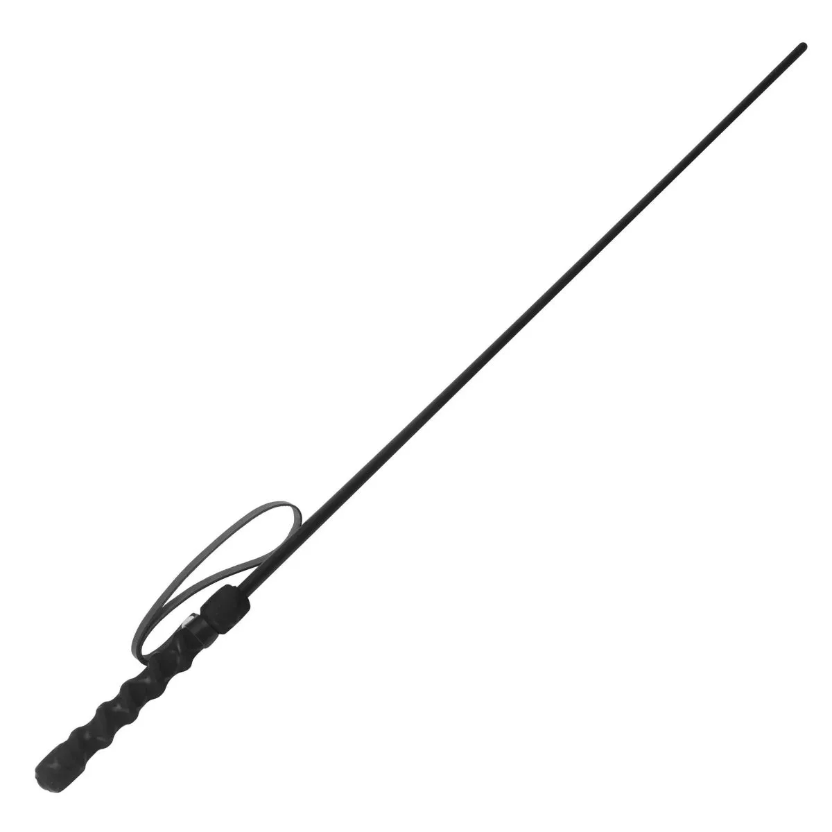 Strict Leather Intense Impact Cane Black