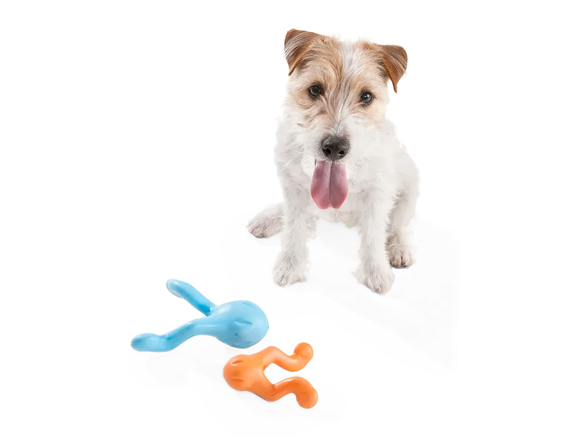 Toss and Fetch Interactive Treat Dispensing Dog toy, Zogoflex Tizzi