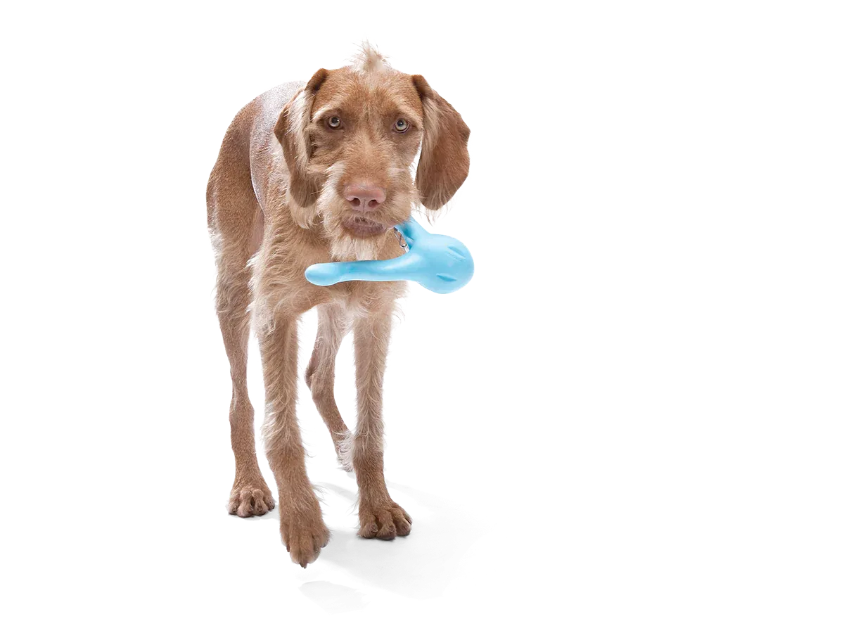 Toss and Fetch Interactive Treat Dispensing Dog toy, Zogoflex Tizzi