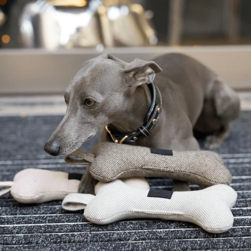 Tweed Squeaky Bone Dog Toy Set