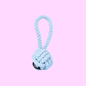 Twisted Rope Dog Toy Blue