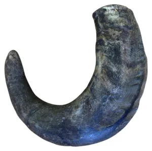 Water Buffalo Large Hornz Dog Chew