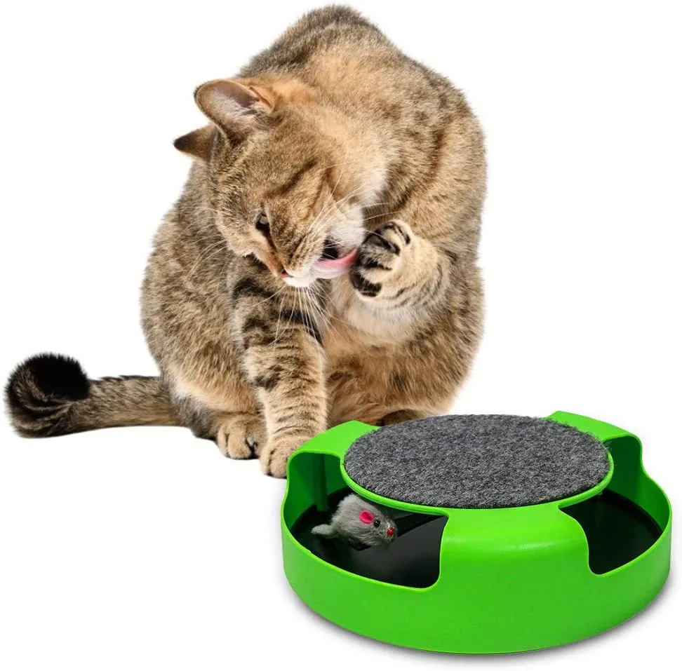 Whirling Cat Toy - The Ultimate Spinning Plaything for Cats